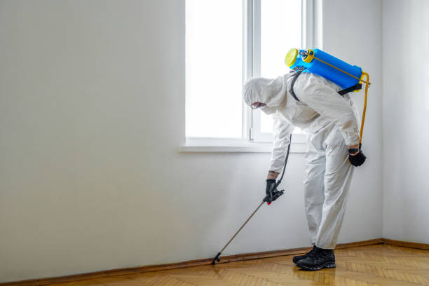 Flea Control Services in Richmond, MI