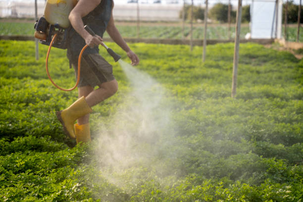 Best Local Pest Control Services  in Richmond, MI