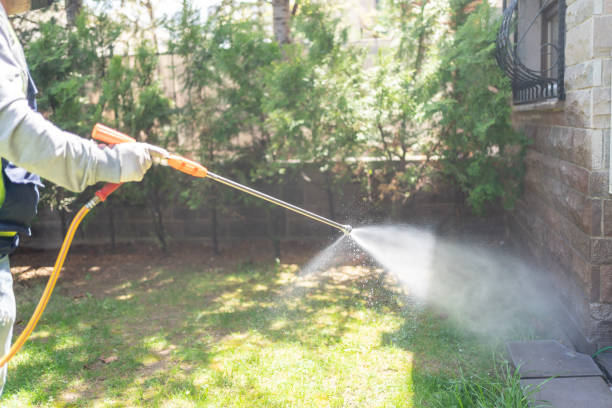 Best Mosquito Control Services  in Richmond, MI