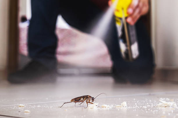 Best Pest Control Near Me in Richmond, MI