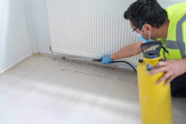 Best Best Pest Control Companies  in Richmond, MI