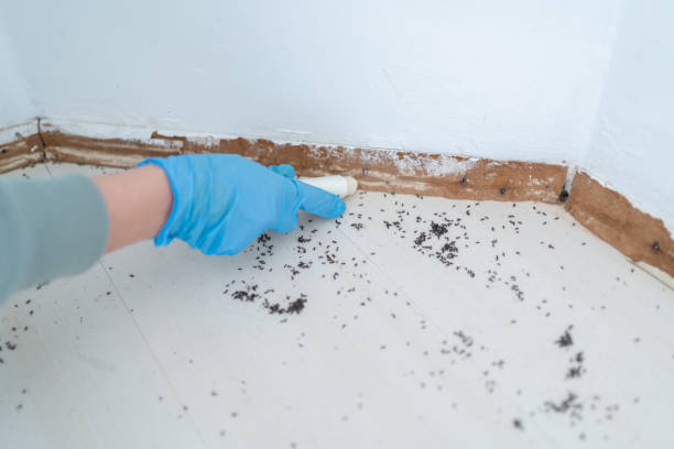 Best Affordable Pest Control Services  in Richmond, MI